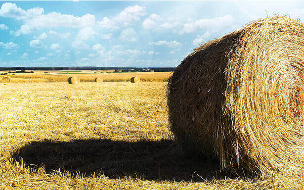image agripro