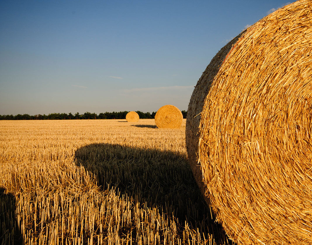 image agripro