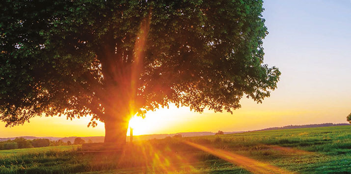 image agripro