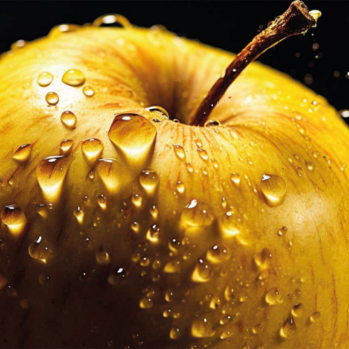 WUXAL-K40-SICURE-agripro.jpg
